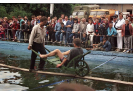 rok_1996_19
